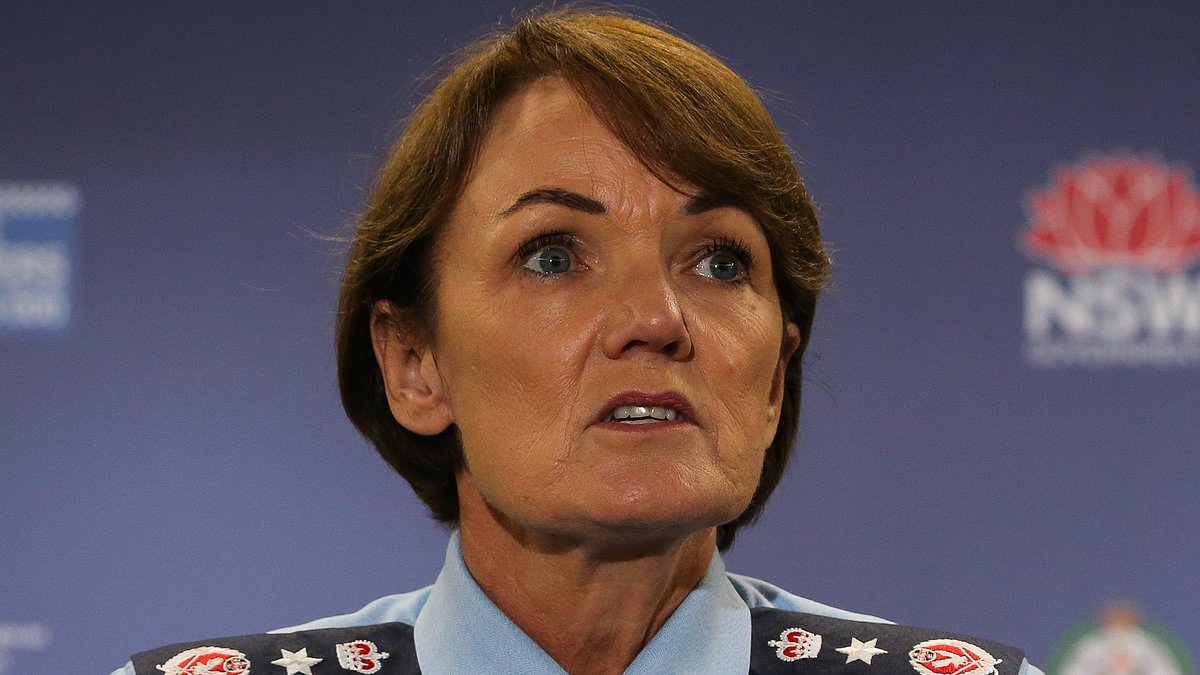 alert-–-nsw-police-commissioner-karen-webb-launches-fresh-bid-for-her-sixth-spin-doctor-in-two-years-–-after-the-last-one-was-dumped-before-he-even-sat-at-his-desk