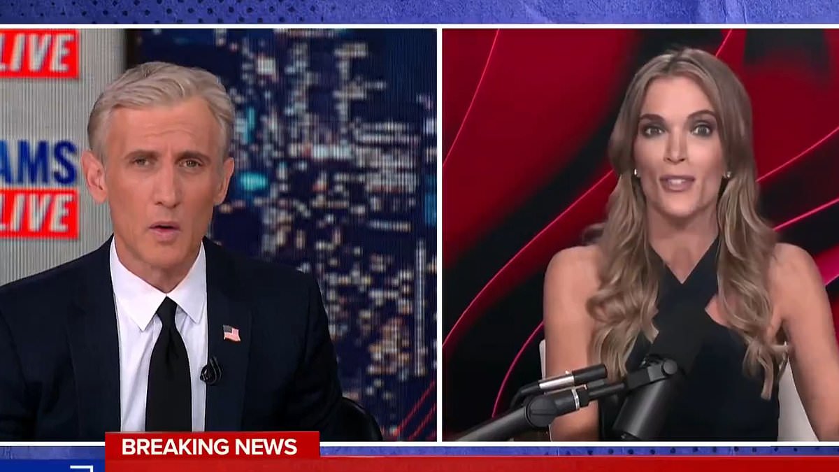 alert-–-megyn-kelly-and-dan-abrams-have-blistering-five-minute-fight-over-trump-verdict