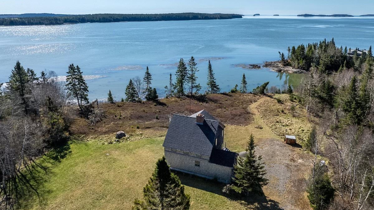 alert-–-gorgeous-off-grid-cabins-with-huge-swaths-of-land-and-sea-views-list-for-bargain-basement-prices-in-famously-beautiful-state-–-and-they-still-have-plenty-of-mod-cons