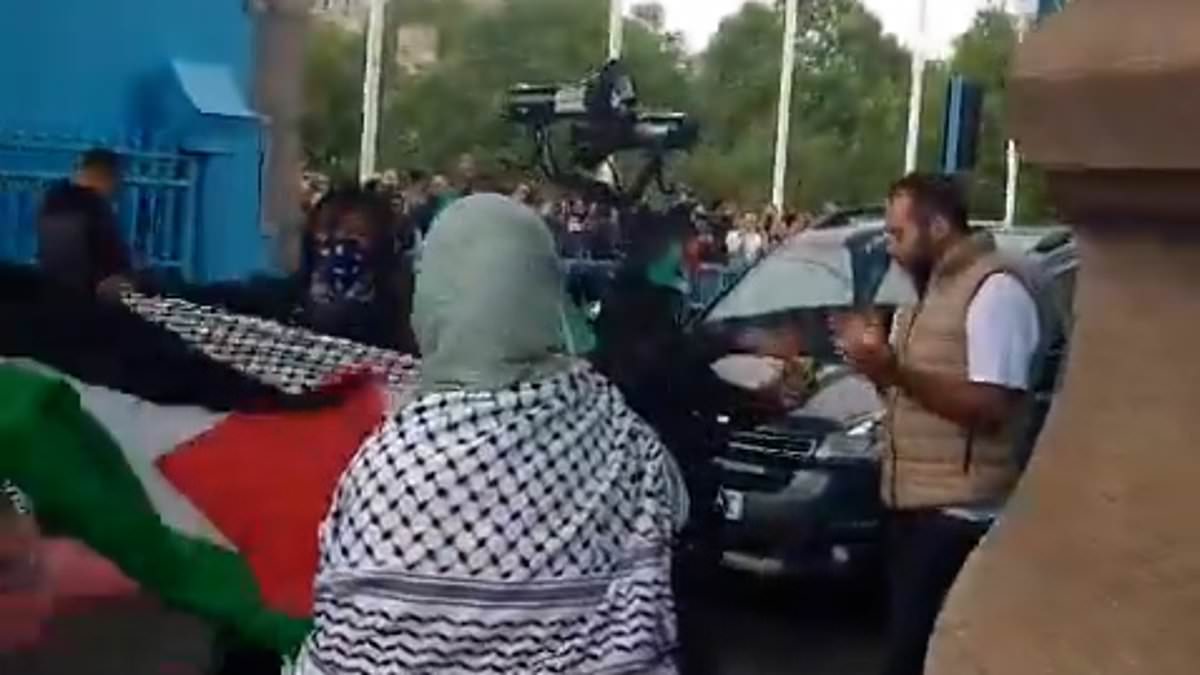 alert-–-pro-gaza-mob-sparks-chaos-on-london’s-tower-bridge-with-road-blocked-and-activists-setting-off-red-and-green-flares-as-police-battle-to-contain-palestine-demo