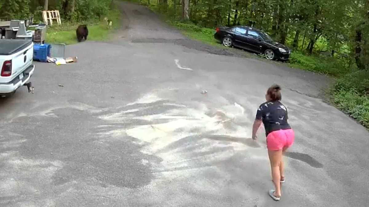 alert-–-wild-moment-screaming-woman-chases-a-bear-down-her-driveway-when-it-ran-after-her-pet-dog-zeus