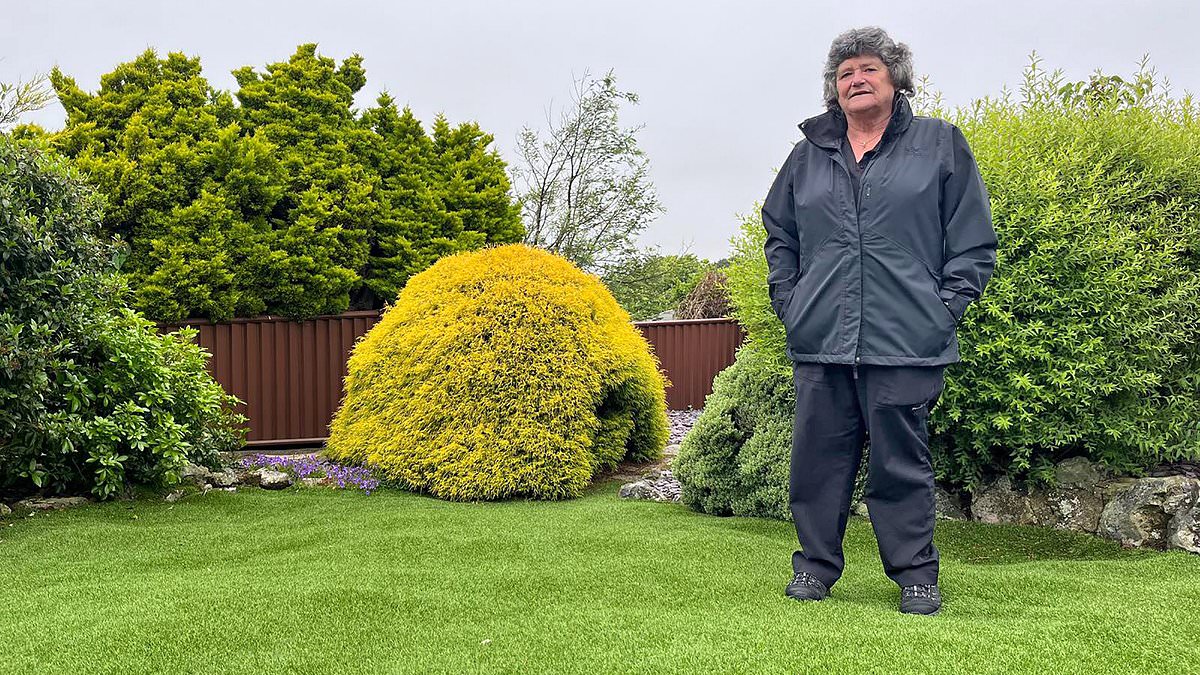 alert-–-homeowner-whose-10,000-lawn-was-left-‘looking-like-teletubbyland’-wins-damages-after-court-battle-with-builders-in-row-over-mole-invasion