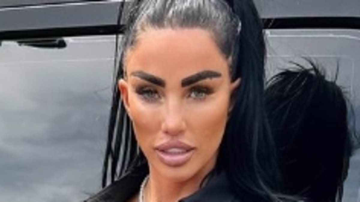 alert-–-katie-price-calls-the-police-over-terrifying-acid-attack-on-her-pink-range-rover-as-they-plead-for-‘any-witnesses-to-come-forward’