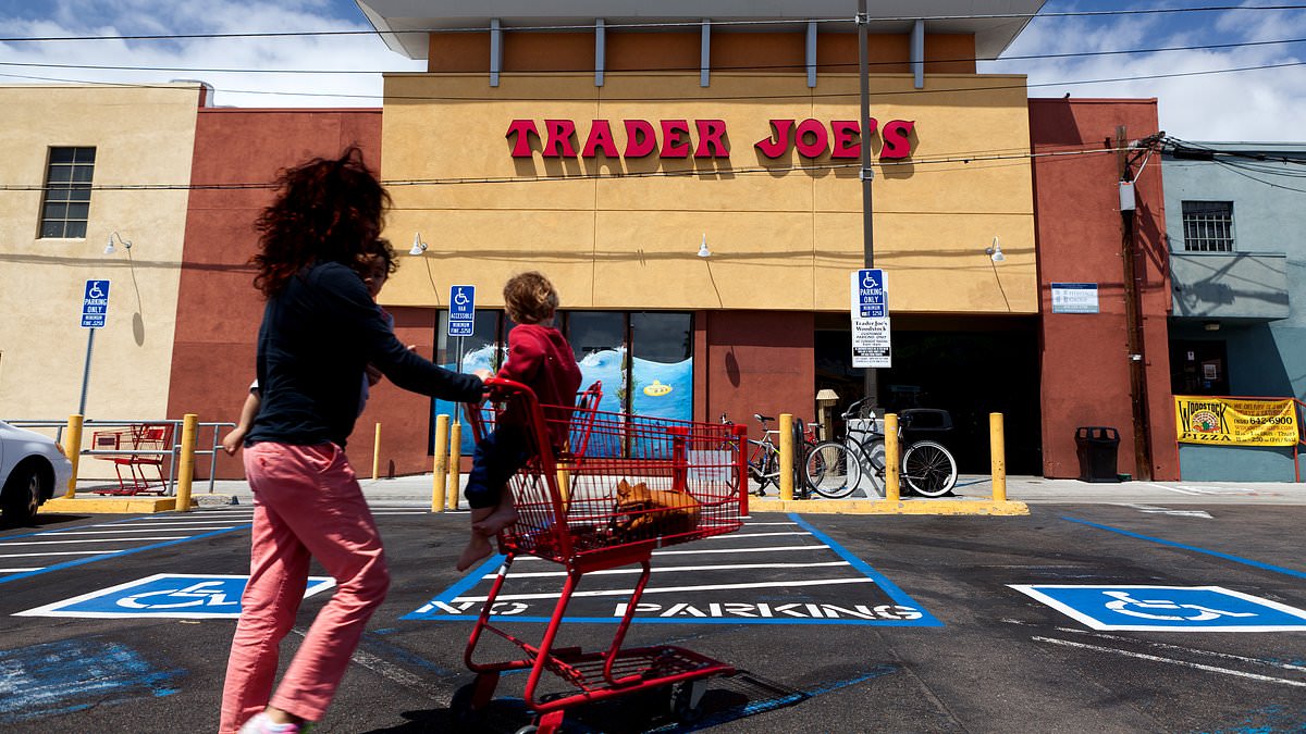 alert-–-trader-joe’s-mania-as-new-$3.99-product-is-being-resold-on-ebay-for-$100