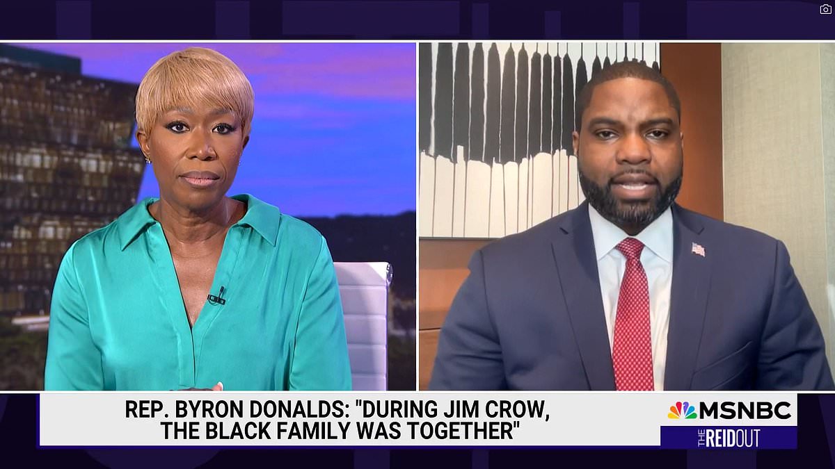 alert-–-byron-donalds-accuses-joy-reid-of-‘gaslighting’-her-audience-as-he-defends-jim-crow-comments-in-tense-interview