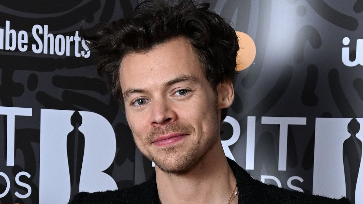 alert-–-harry-styles-unveils-plans-for-30m-super-mansion:-pop-superstar-is-restoring-former-18th-century-home-in-hampstead-into-ultimate-playboy-party-pad-with-an-entire-floor-devoted-to-guests