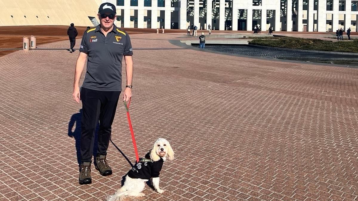 alert-–-why-aussies-are-furious-over-this-ordinary-photo-of-anthony-albanese-and-his-dog-toto