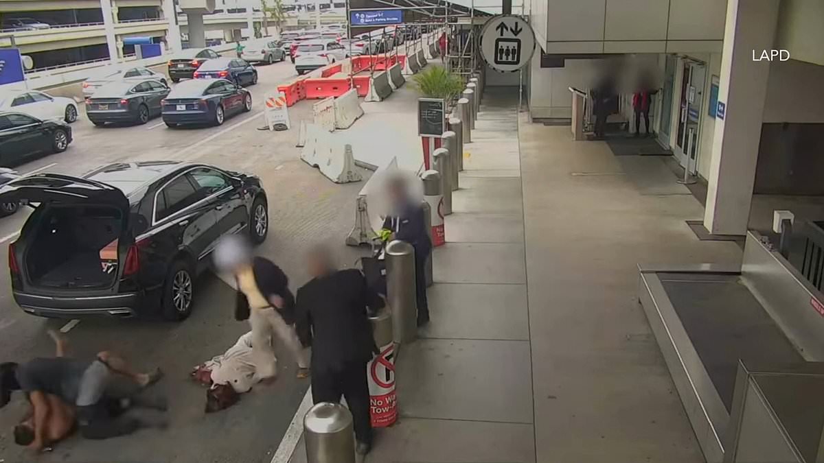 alert-–-distressing-moment-road-rage-brawl-between-two-men-outside-lax-escalates-into-assault-on-innocent-elderly-woman-that-left-her-horribly-injured