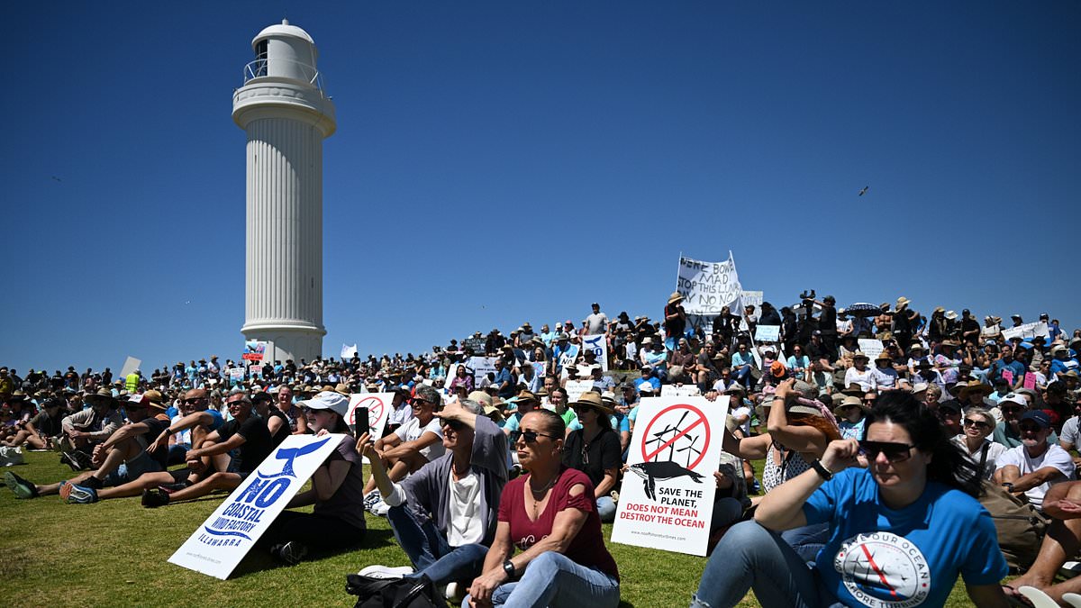 alert-–-controversial-wind-farm-stretching-along-nsw’s-scenic-south-coast-given-green-light-by-albanese-government