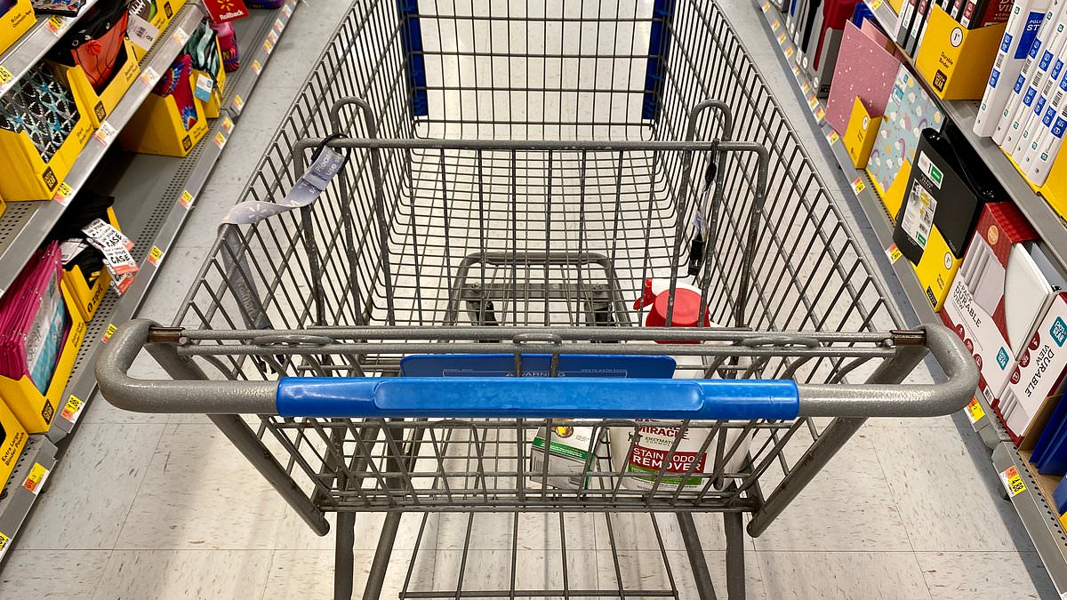 alert-–-walmart-is-quietly-rolling-out-fancy-new-shopping-carts-with-holders-for-stanley-cups-–-but-some-shoppers-are-not-happy