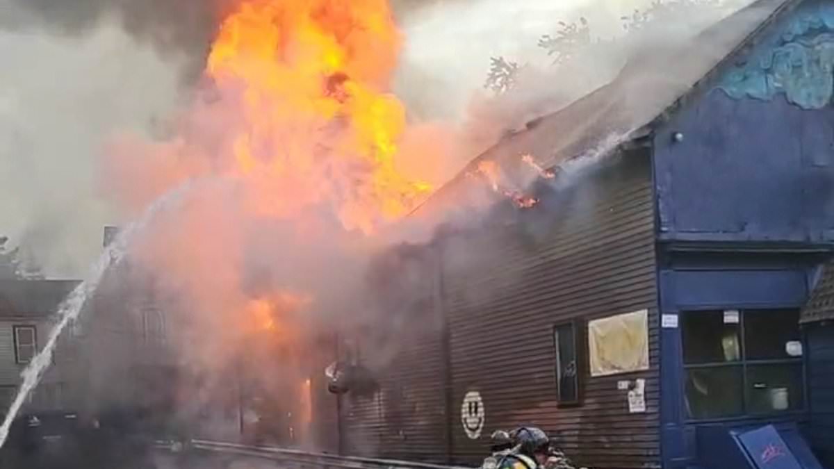 alert-–-a-beloved-buffalo-bar,-the-old-pink,-was-destroyed-by-fire-as-devastated-residents-who’ve-been-going-since-the-90s-say-town-will-‘never-be-the-same-again’