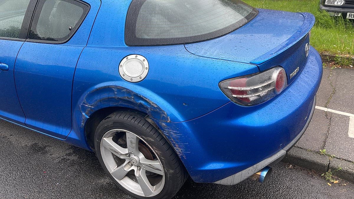 alert-–-fury-as-london-buses-scrape-man’s-parked-cars-twice-while-passing-them-–-with-his-mother’s-vehicle-so-badly-damaged-it-was-written-off-–-as-video-shows-moment-of-collision