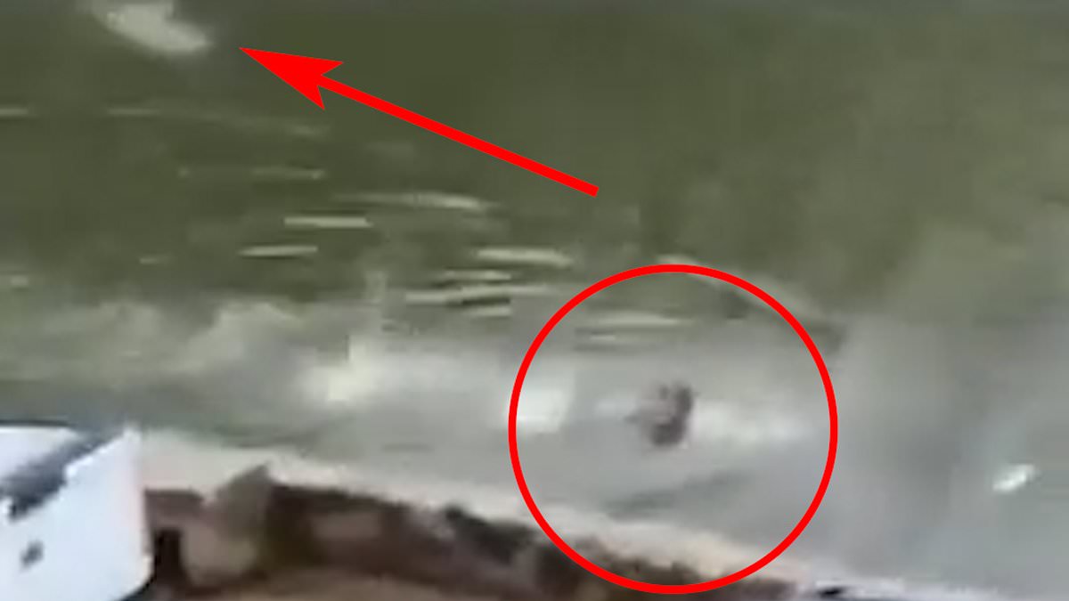 alert-–-terrifying-moment-man-is-chased-by-a-crocodile-while-swimming-in-a-lagoon