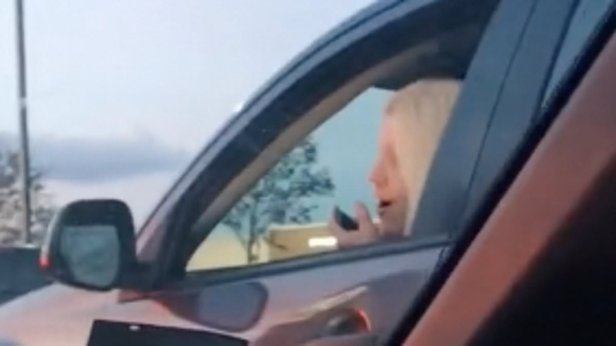 alert-–-karen-threatens-to-punch-couple-after-cutting-them-in-raising-cane’s-drive-thru-line-before-she’s-served-some-delicious-instant-karma