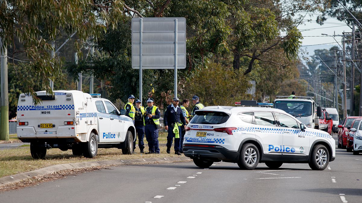 alert-–-blackett-death-crash:-horrific-moment-road-rage-victim-was-‘dragged-100m-to-his-death’-after-he-was-allegedly-run-down-by-a-ute-as-police-launch-manhunt-for-hit-and-run-driver