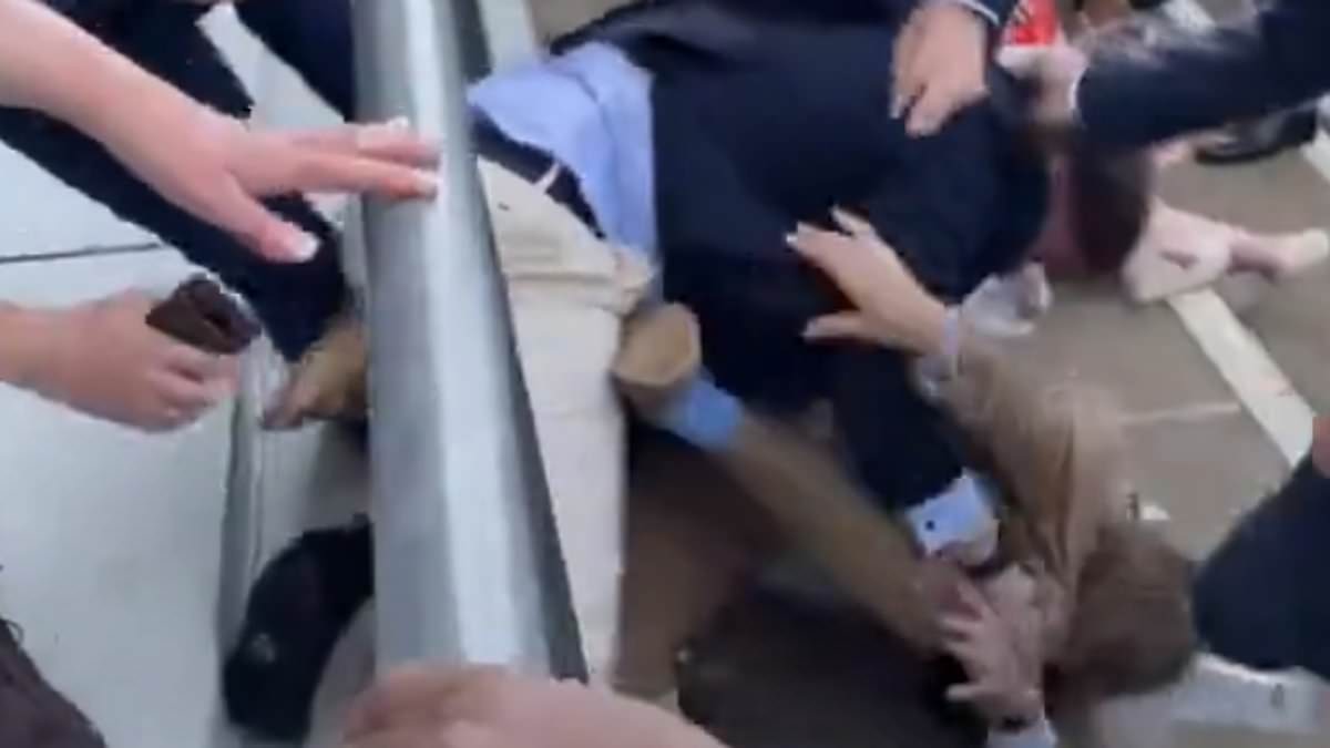 alert-–-royal-ascot-turns-violent:-footage-emerges-of-vicious-brawl-between-racegoers-that-left-one-covered-in-blood-in-front-of-appalled-fans