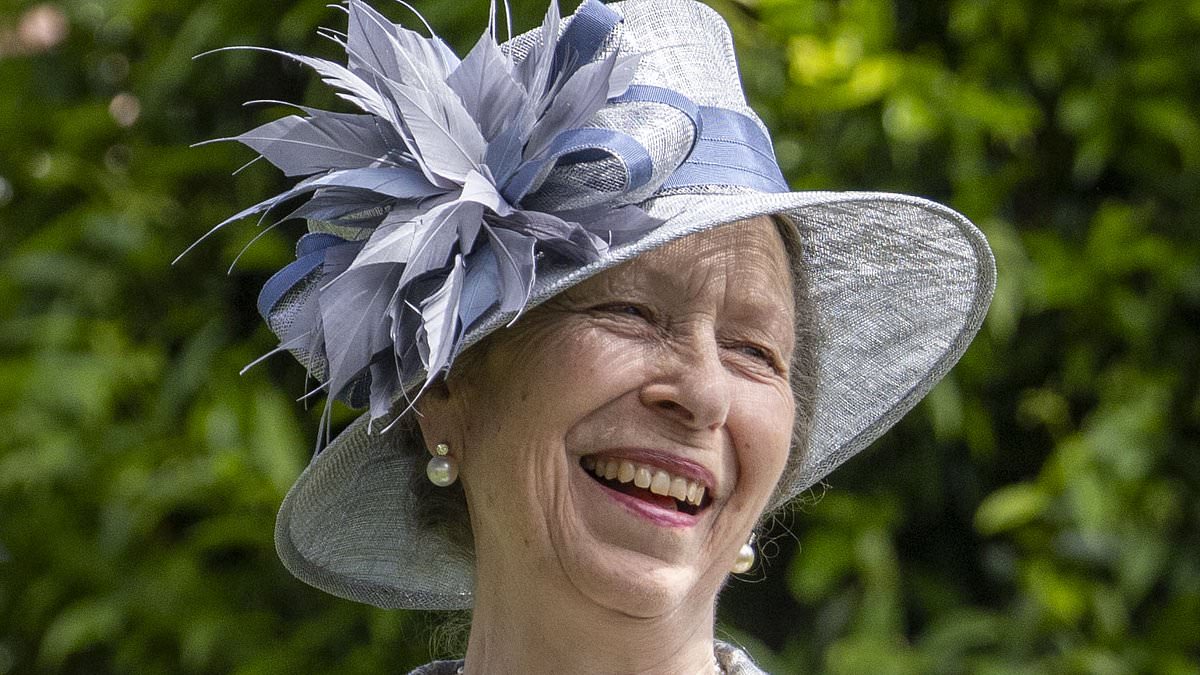 alert-–-princess-anne-is-in-hospital-after-suffering-‘minor-injuries-and-concussion’-following-incident-on-gatcombe-park-estate