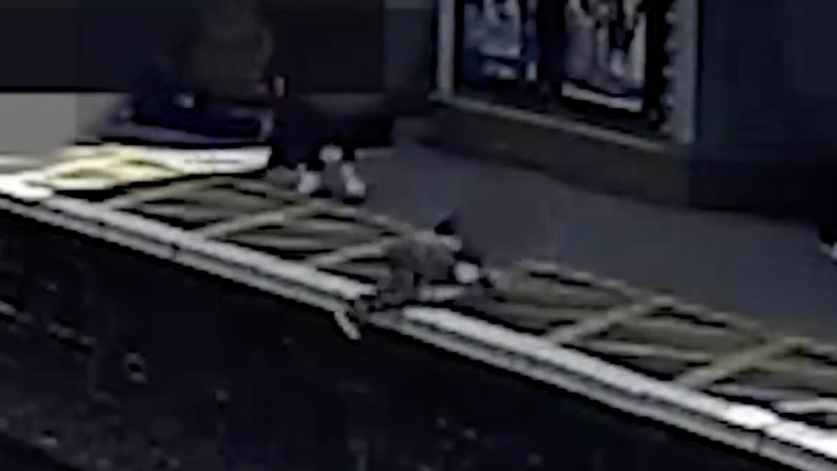 alert-–-watch-heart-stopping-moment-child-falls-onto-train-tracks-at-station-prompting-man-to-jump-down-and-save-him-–-as-railway-bosses-urge-people-to-be-aware-of-their-surroundings