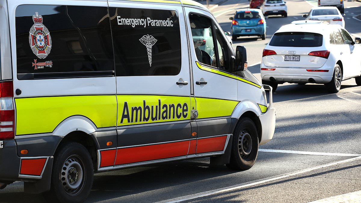 alert-–-annandale-north-public-school-student-is-rushed-to-hospital-after-horrific-incident