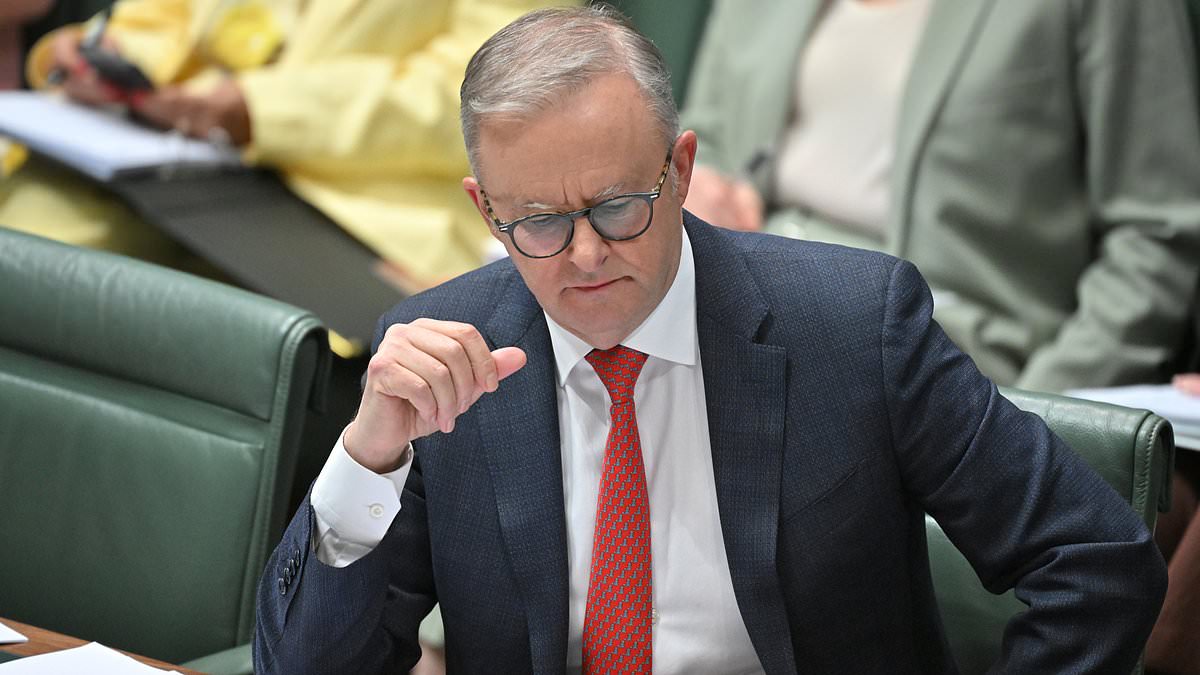 alert-–-fatima-payman:-anthony-albanese-suffers-major-betrayal-in-the-ranks-as-labor-figure-turns-against-him-risking-her-career-–-as-lidia-thorpe-has-a-meltdown