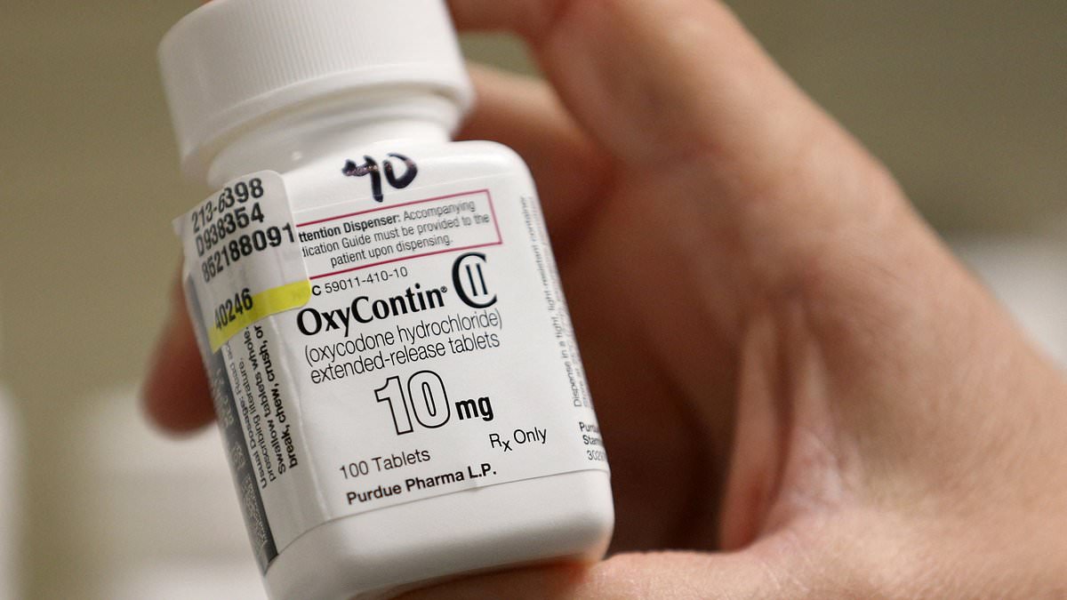 alert-–-supreme-court-blocks-monumental-purdue-pharma-opioid-settlement-that-would-have-given-families-of-oxycontin-victims-billions