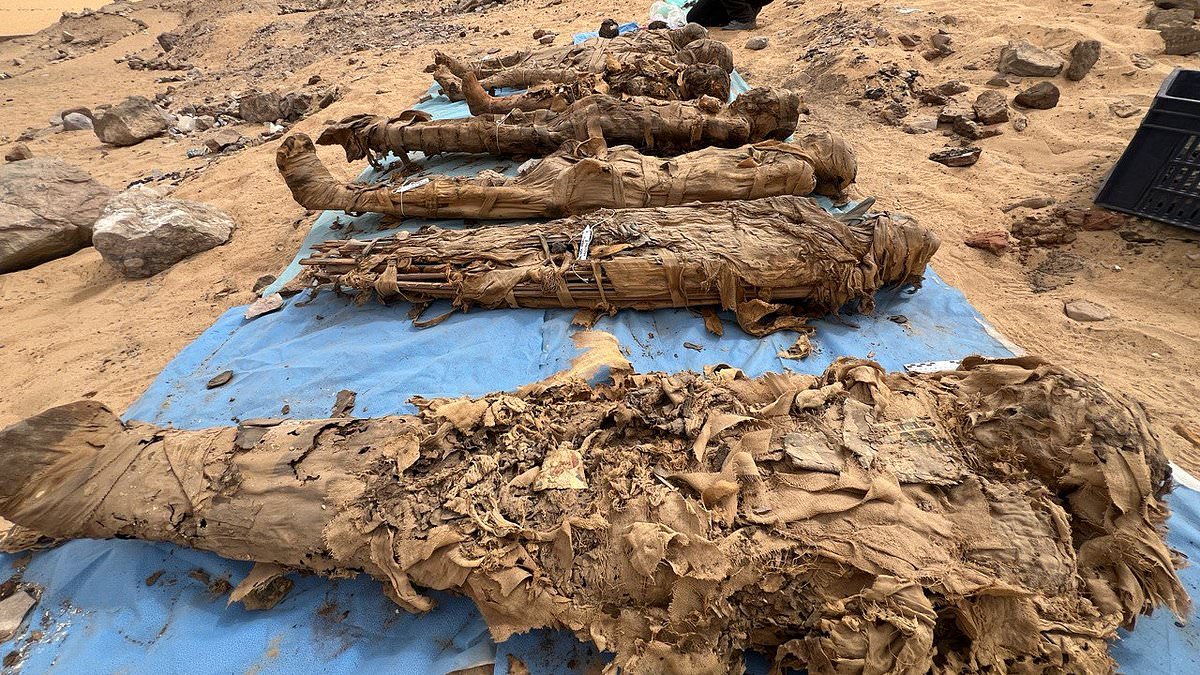 alert-–-hidden-‘city-of-the-dead’-with-more-than-300-tombs-that-contain-mummified-families-is-discovered-in-egypt
