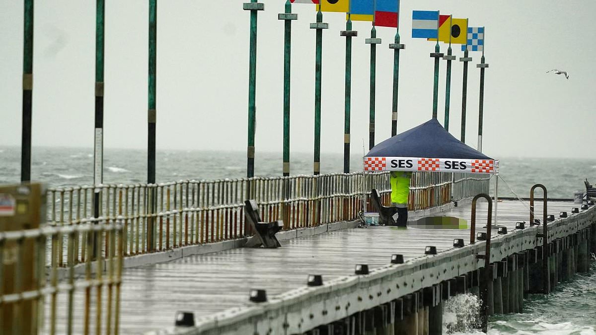 alert-–-major-update-after-homeless-man-allegedly-stabs-stranger-to-death-at-frankston-pier