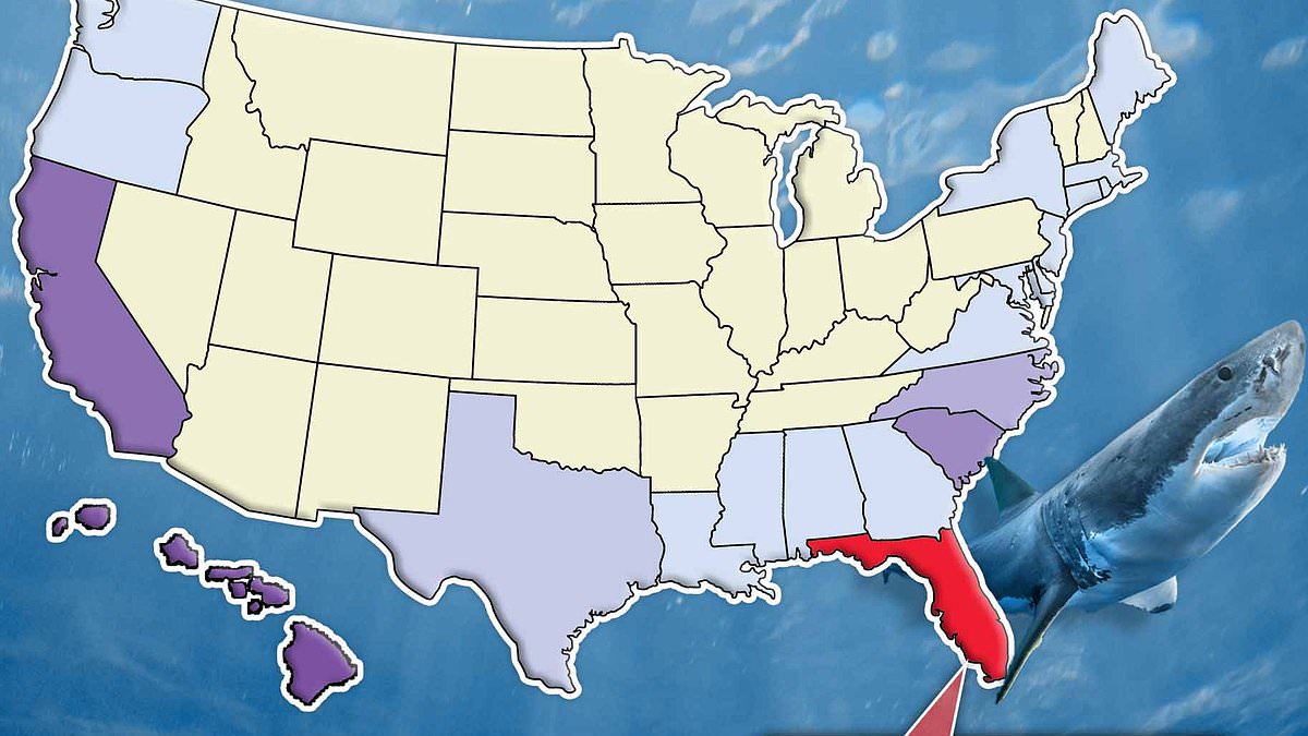 alert-–-shark-attack-beach-hotspots:-map-shows-some-of-the-most-dangerous-states-in-the-us-as-two-swimmers-are-mauled-on-south-padre-island