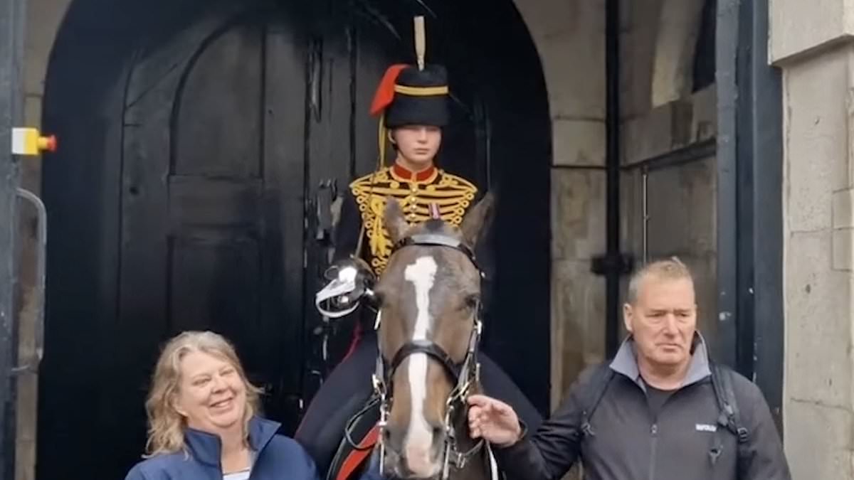 alert-–-heartwarming-moment-king’s-guard-bursts-into-tears-after-being-surprised-by-her-parents-while-on-duty