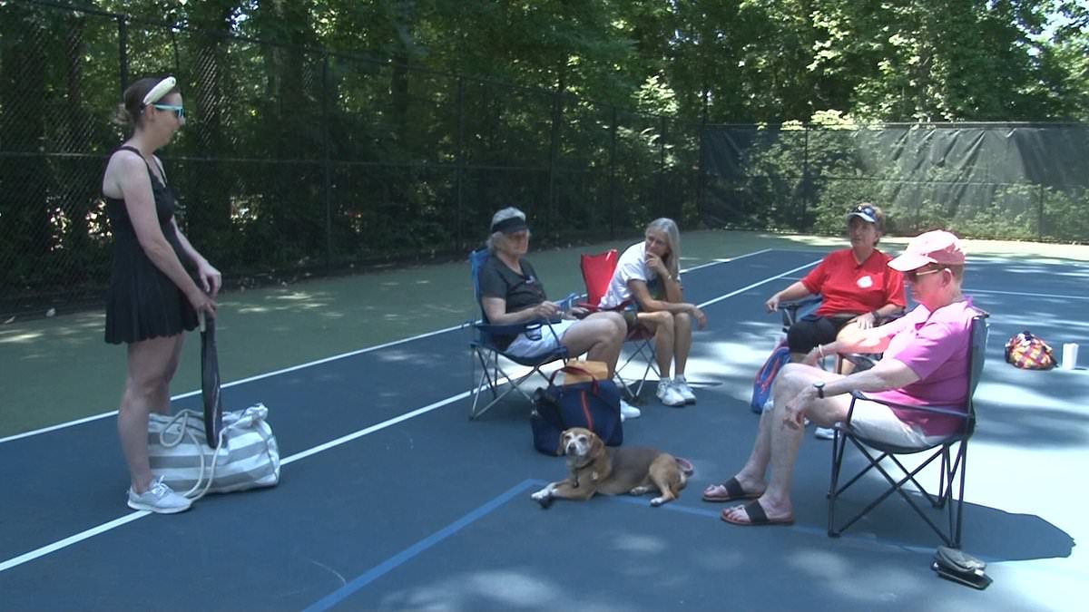 alert-–-pickleball-players-in-ritzy-suburb-stage-furious-protest-as-town-hires-security-to-block-them-from-using-tennis-courts