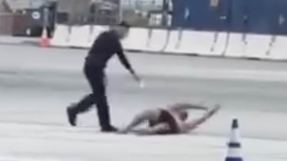 alert-–-moment-‘irate’-shirtless-man-leads-cops-on-wild-chase-across-tarmac-at-lax