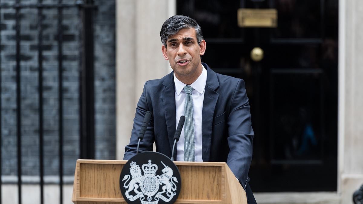 alert-–-rishi-sunak-appoints-‘interim’-shadow-cabinet-as-tory-chair-ric-holden-and-lord-cameron-quit-after-disastrous-election-meltdown…-with-infighting-between-left-and-right-wings-ramping-up