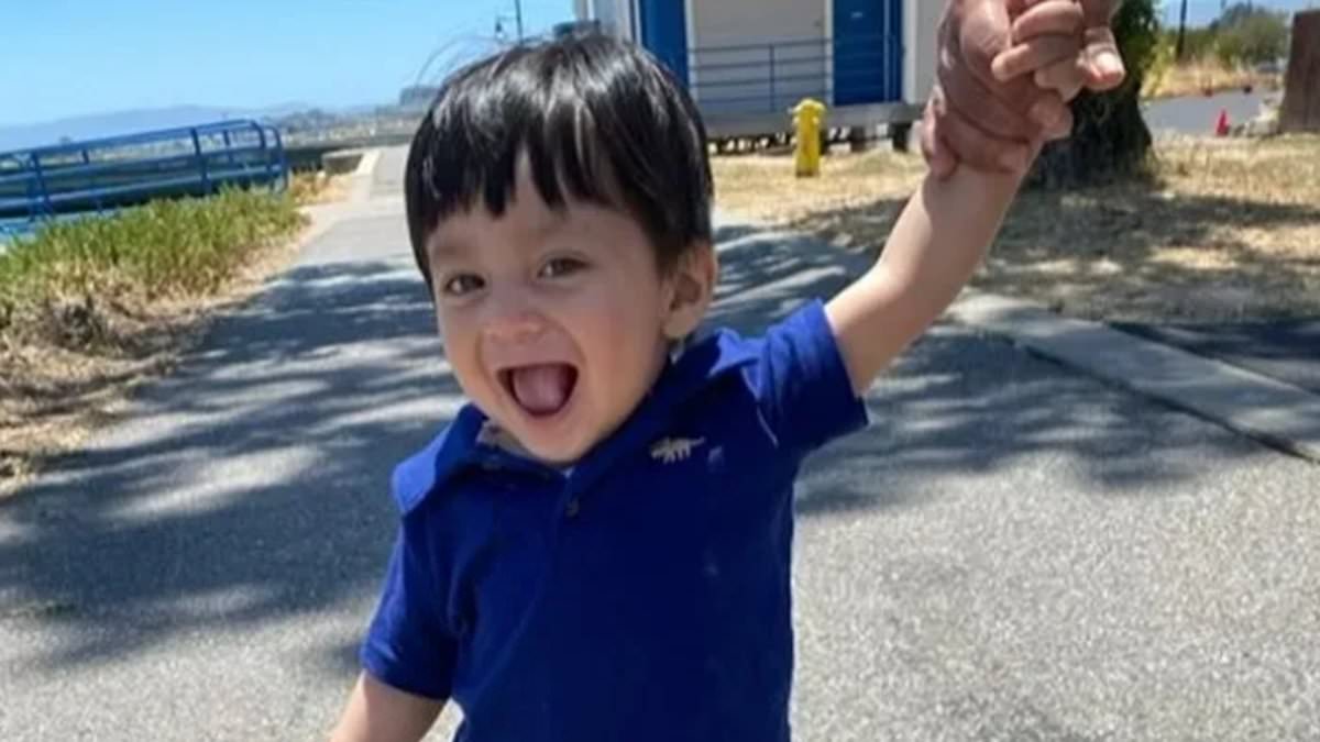 alert-–-california-toddler-aged-15-months-dies-after-falling-out-window