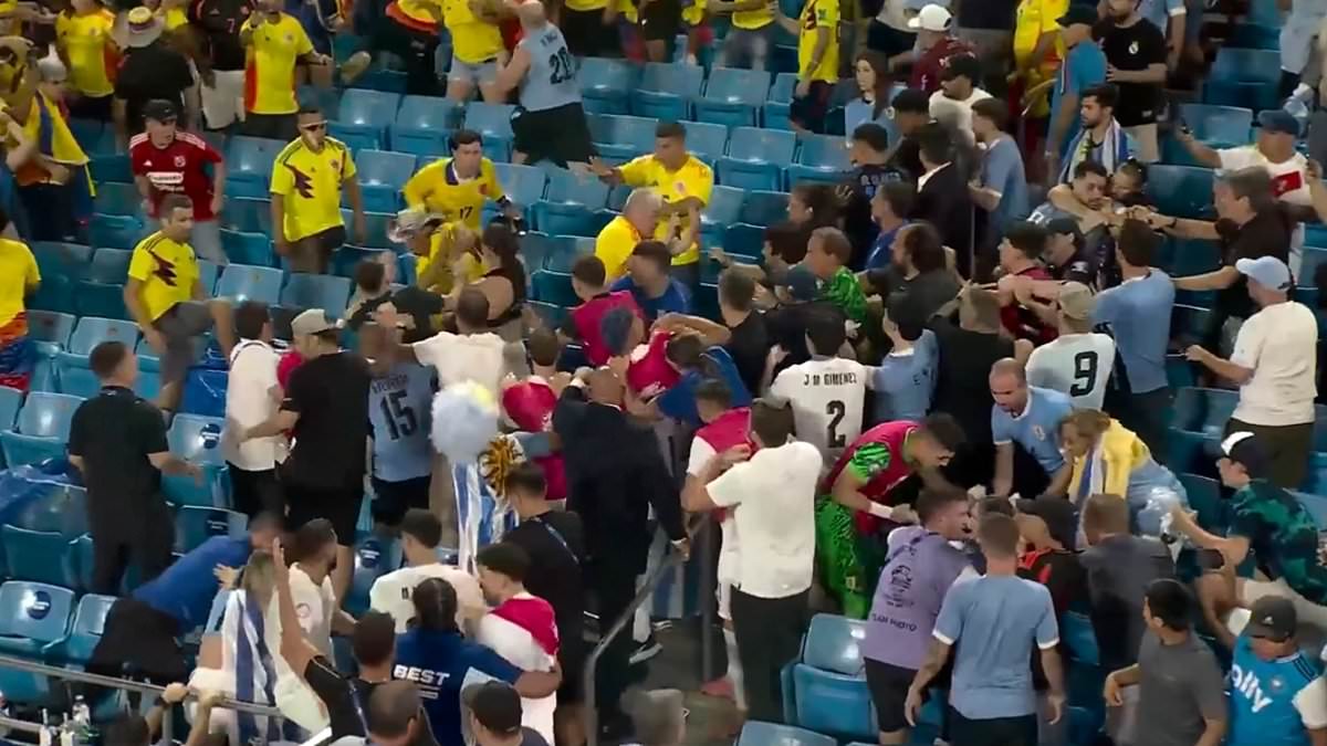 alert-–-shocking-moment-liverpool-star-darwin-nunez-jumps-into-the-crowd-and-starts-swinging-punches-at-fans-as-copa-america-descends-into-chaos