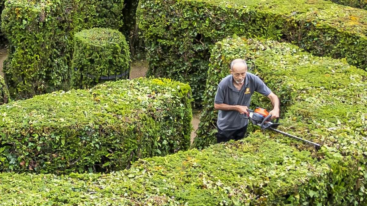 alert-–-gardeners-have-had-their-work-cut-out-after-spending-a-whopping-520-hours-trimming-one-of-the-world’s-biggest-hedge-mazes