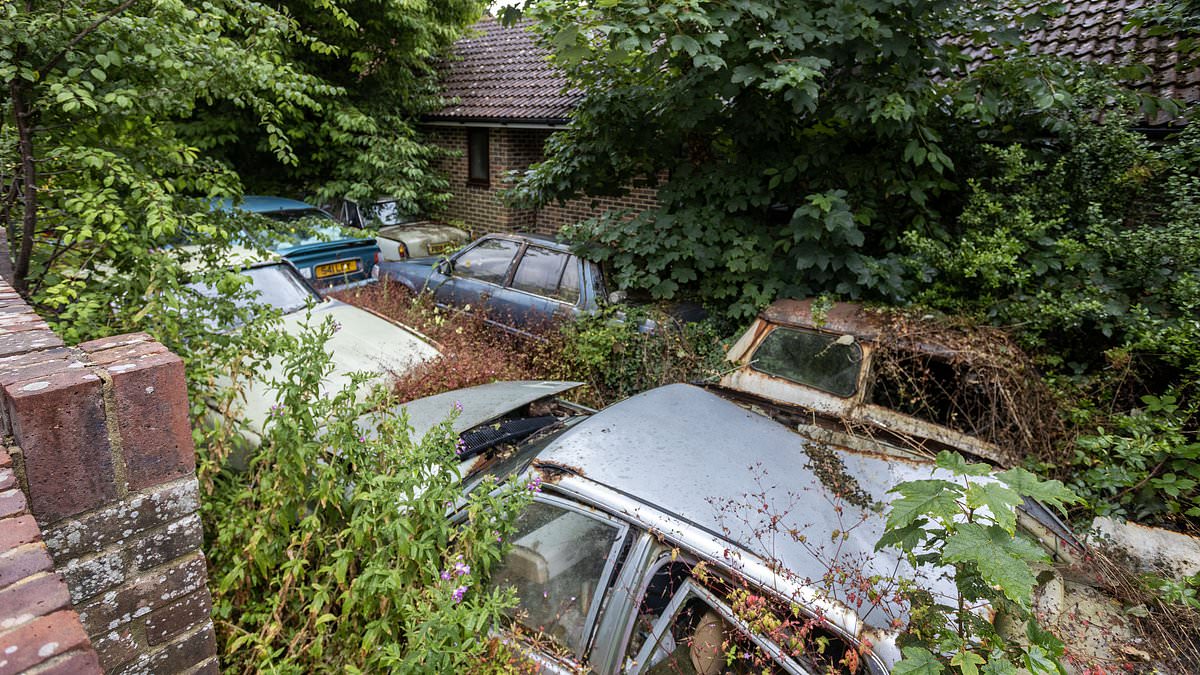 alert-–-our-nightmare-neighbour’s-car-graveyard-is-driving-us-mad…-it-looks-like-a-jungle-and-could-send-our-house-price-plummeting-–-we’re-furious