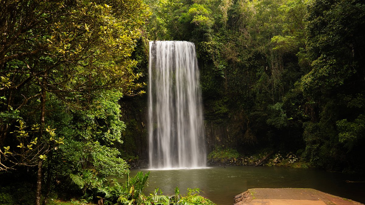 alert-–-millaa-millaa-falls-cairns:-tragedy-as-bodies-of-two-men-in-their-20s-are-recovered-after-they-went-missing-at-popular-waterfalls