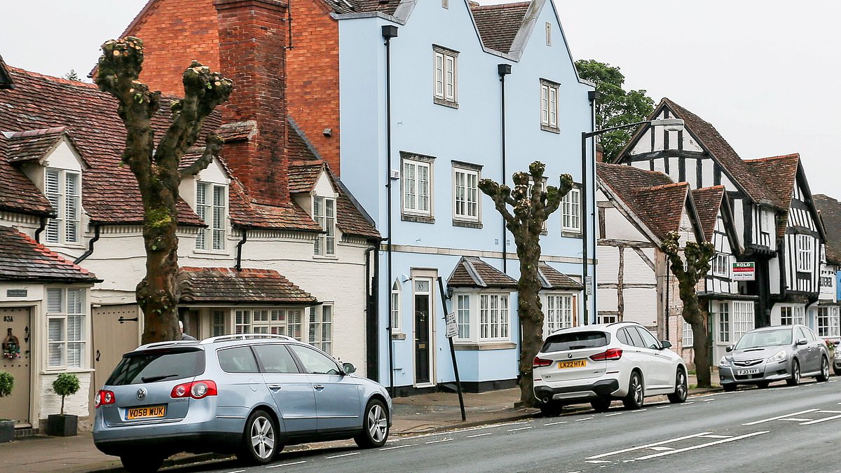 alert-–-fury-as-council-officials-‘butcher’-more-than-20-50ft-lime-trees-that-have-lined-historic-market-town’s-high-street-for-more-than-a-century