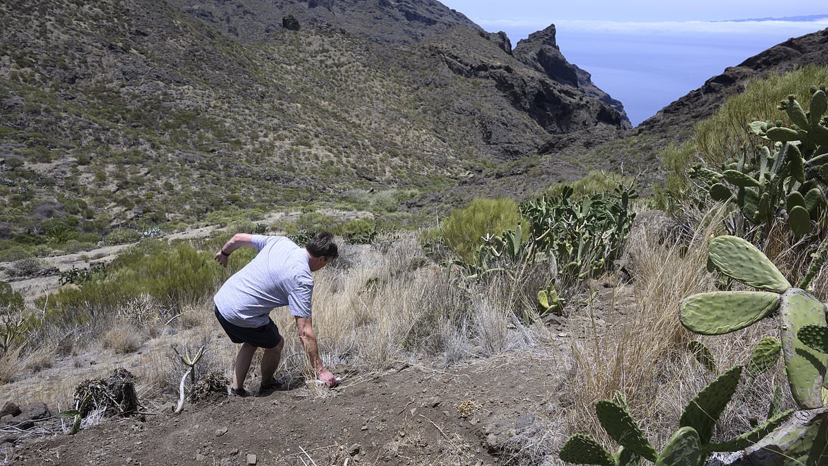 alert-–-inside-‘deathtrap’-ravine-where-jay-slater’s-body-was-found:-drone-footage-reveals-rugged-and-treacherous-tenerife-landscape-in-which-teenager-spent-his-final-moments