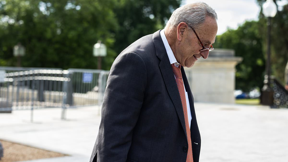 alert-–-democratic-senator-chuck-schumer-told-biden-it-would-be-best-if-he-dropped-out-of-the-2024-election