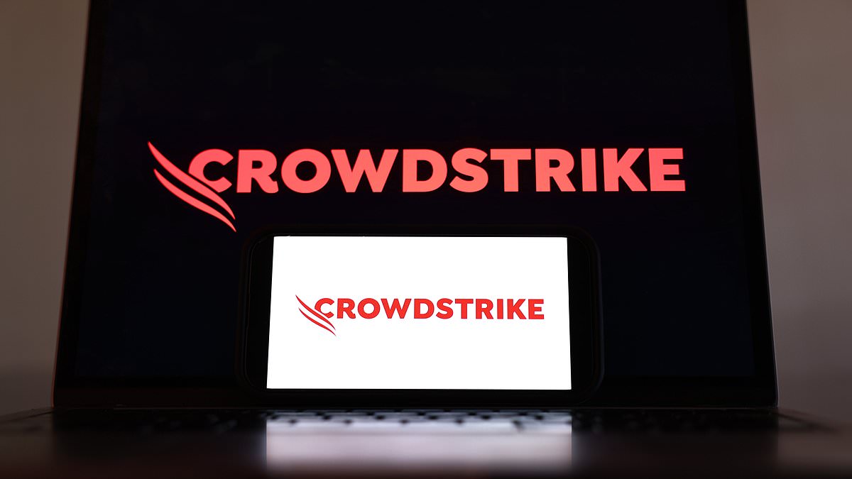 alert-–-crowdstrike’s-australian-job-ad-for-director-of-public-relations-mocked-online:-‘any-takers?’