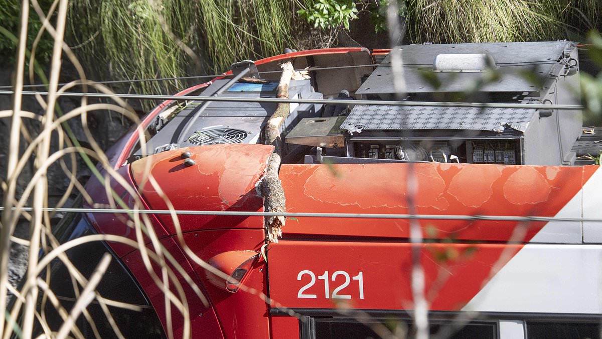 alert-–-dramatic-scenes-as-strong-winds-cause-tree-to-fall-on-sydney-tram-at-pyrmont-trapping-67-passengers