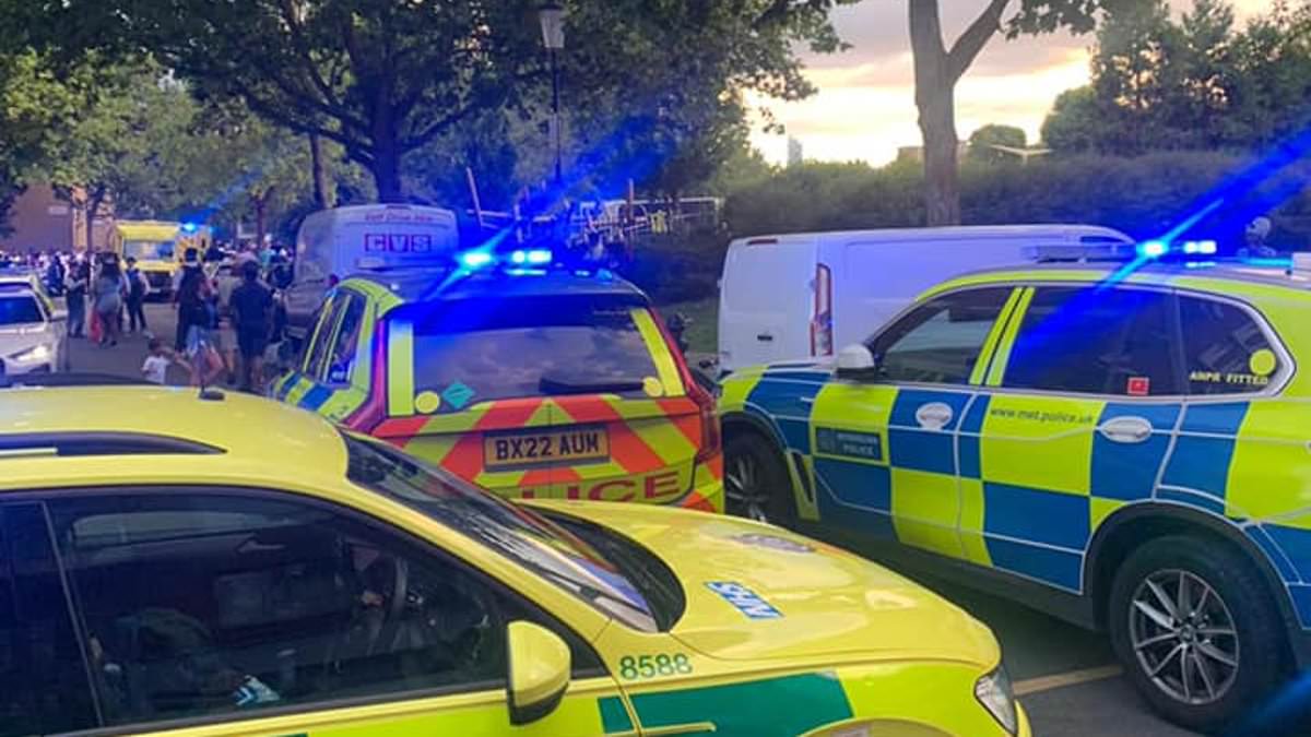 alert-–-boy,-15,-is-shot-dead-during-pre-carnival-‘family-fun-day’-at-‘teletubbies-park’-in-ladbroke-grove-with-six-men-arrested-on-suspicion-of-murder-–-security-guard-at-the-scene-says-‘everyone-was-screaming’-after-teen-‘was-assassinated’