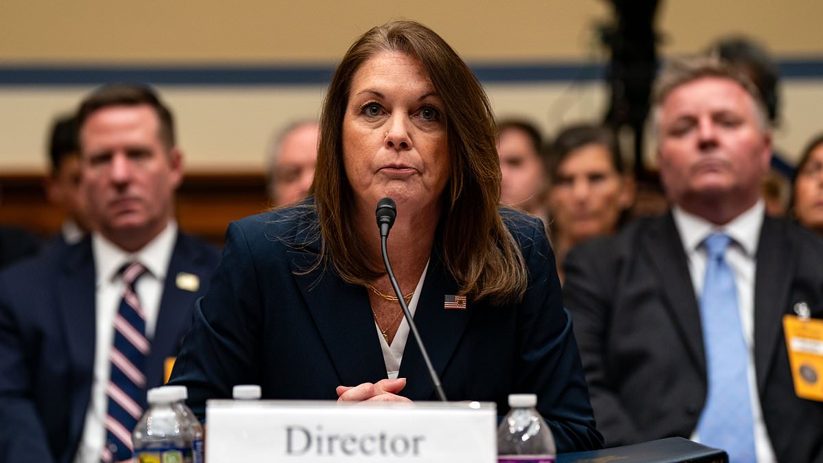 alert-–-secret-service-director-branded-a-‘dei-horror-show’-by-republican-during-grilling-on-her-hiring-practices-before-trump-shooting