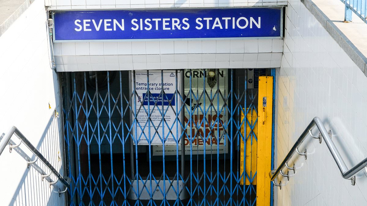 alert-–-two-women-are-arrested-after-man-stabbed-on-london-underground:-victim-is-fighting-for-his-life-as-police-close-seven-sisters-station