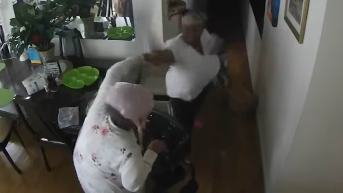 alert-–-home-aide-batters-95-year-old-grandmother-over-the-head-with-a-saucepan-until-she-collapses-in-her-new-york-city-home-–-while-her-horrified-family-watched-the-attack-unfold-on-cameras