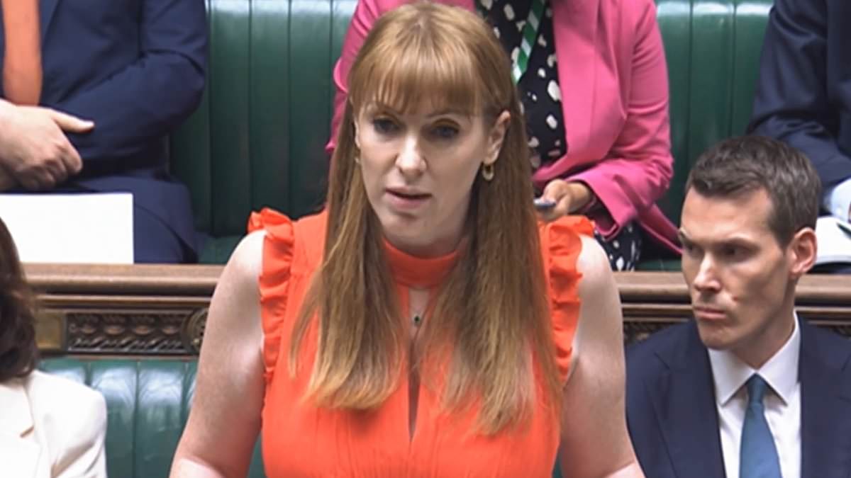 alert-–-home-counties-to-bear-the-brunt-of-labour’s-‘green-belt’-housing-bonanza:-angela-rayner-threatens-to-step-in-if-councils-let-local-people-block-construction-targets-as-she-demands-370,000-homes-a-year-–-and-says-areas-with-highest-prices-must-build-more