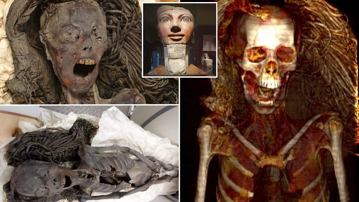 alert-–-unravelling-the-mystery-of-the-‘screaming-mummy’:-egyptian-woman-died-screeching-in-agony-3,500-years-ago-–-before-her-body-was-embalmed-with-her-mouth-still-wide-open,-analysis-reveals