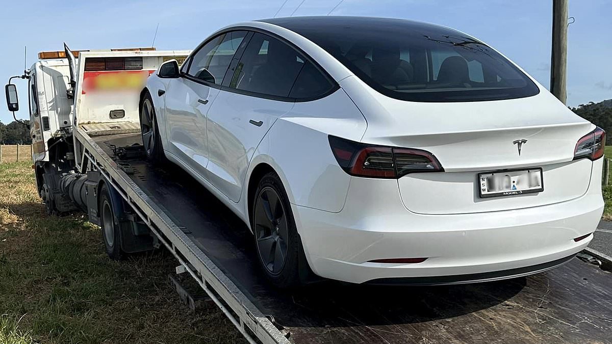 alert-–-tesla-model-3-driver-exposes-major-issue-with-car