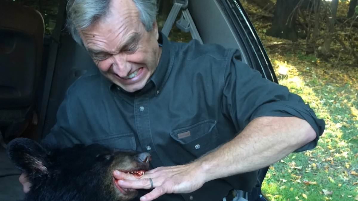 alert-–-robert-f-kennedy-jr.-poses-with-his-hand-in-dead-bear’s-mouth-before-dumping-it-in-central-park…-as-link-to-reporter-who-broke-the-bizarre-story-emerges